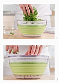 Drying chervil in a salad spinner