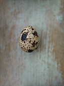 A quail's egg