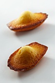 Two madeleines