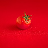 Eine Tomate mit Wassertropfen auf rotem Untergrund
