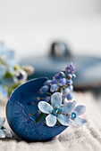 A blue dyed eggshell filled with grape hyacinths and scilla