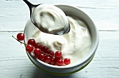 A bowl and a spoonful of yogurt with fresh redcurrants