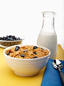 Bowl of Wheat Flake Cereal with Fresh Blueberries; Bottle of Milk