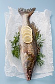 Znader with lemons and dill on parchment paper