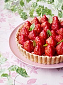 Strawberry tart with mint leaves