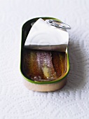 A tin of sardines in oil