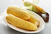 Peeled corn cobs on an oval plate