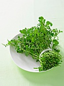 A Bunch of Watercress Tied with String