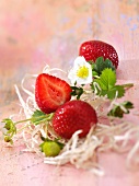 Strawberries with flowers and leaves