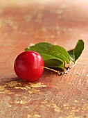 A cherry plum with leaves