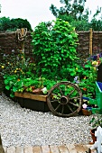 Garden ornaments in front of raised bed of flowers