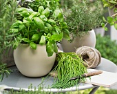 Basil, chives and rosemary on a garden table