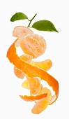 Peeled mandarins with the peel