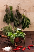 Various herbs, fresh and dried, for herb salt