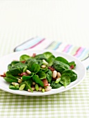 Spinach salad with bacon and pine nuts