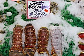 Lobster tails at the Pike Place Fish Market, Seattle, USA