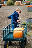 A little boy pulling along a pumpkin in a cart