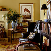 Dark brown leather armchair in corner of traditional living room