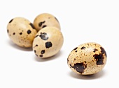 Four quails' eggs