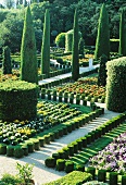 English country manor gardens with flower beds and topiary cypress trees