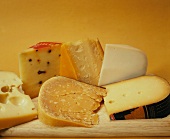 Various types of Dutch cheese