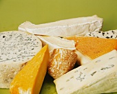 Various types of French cheese