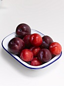 A dish of fresh plums