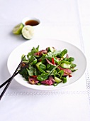 Beef salad (Thailand)