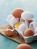 weiße und braune Eier in einem Eierkarton