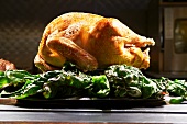 Whole Roasted Turkey on Greens