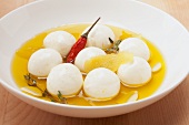 Labne (Joghurtbällchen in Olivenöl eingelegt, Orientalische Küche)