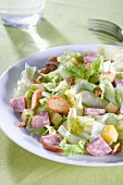 Mixed leaf salad with cheese, sausage and croutons