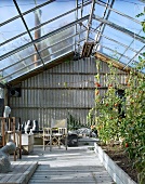 Fruiting tomatoes and sculptures exhibited in greenhouse