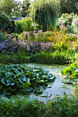 Teich mit Seerosenblättern in blühendem Garten