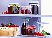 Berry jelly in jars on a shelf