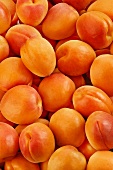 Apricots (full frame)