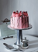 Stracciatella and raspberry cake