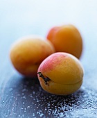 Three apricots