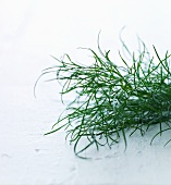 Dill