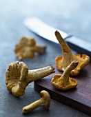 Fresh chanterelle mushrooms on a wooden board with a knife