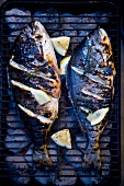Two bass on a barbecue (seen from above)