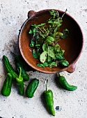 Mint and green chilli peppers
