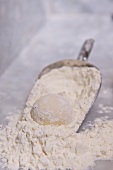 Bread dough and flour in a scoop