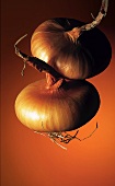 Two onions against a brown surface