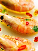 Marinated prawns (close-up)