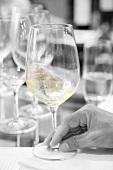 White wine at a tasting session