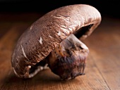 One Portobello Mushroom on a Wooden Table