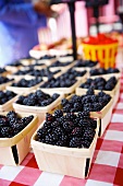 Small Baskets of Blackberries at a Farmers Market