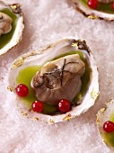 Oysters in aspic with redcurrants