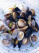 Various mussels for a barbecue